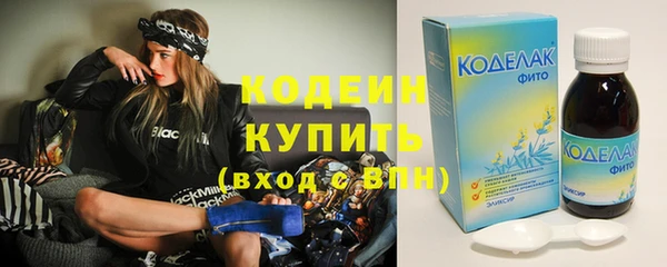 соль ск Новозыбков
