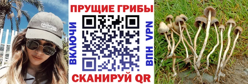 Псилоцибиновые грибы ЛСД  Усть-Катав 